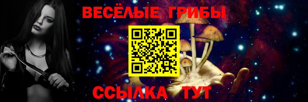 Галлюциногенные грибы Cubensis  Вход с VPN  Галлюциногенные грибы Cubensis  Печора 